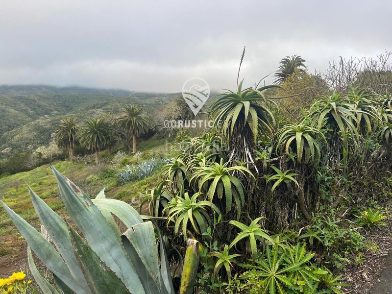 Foto b293ec20-d75a-488b-ab5b-2c3a98048b0a. Finca rústica a Agulo