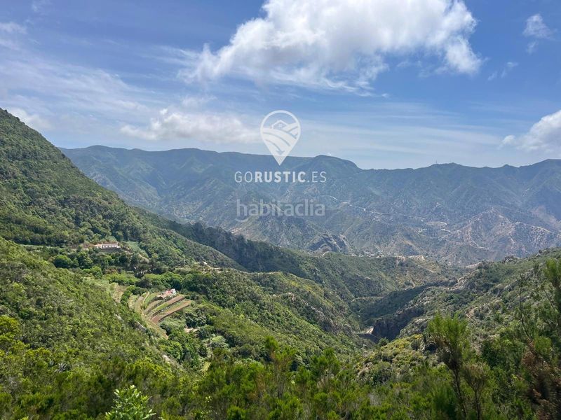 Foto c7e659f3-4eb6-4501-973d-29bdcc2fd434. Finca rústica a Agulo