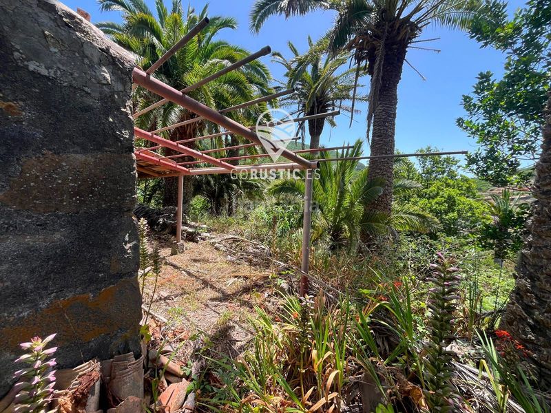 Foto d4f00c99-e09c-40c7-8c15-7836e835de1b. Finca rústica a Agulo