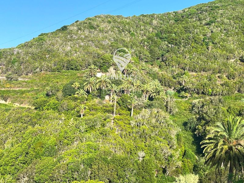 Foto d916ad0e-1006-4360-be06-994b321b1910. Finca rústica a Agulo