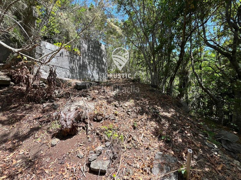 Foto de8998cb-9076-44c4-8505-13bf6d59929c. Finca rústica a Agulo