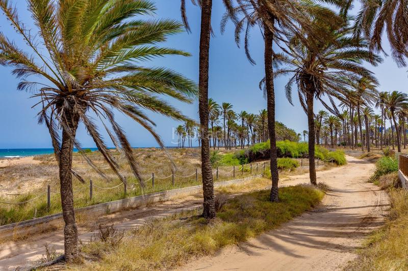 Foto 46d36935-c5c8-48e2-b6dd-1a11f220bf48. Casa en calle narvaez bungalow dúplex en mar azul en Torrevieja