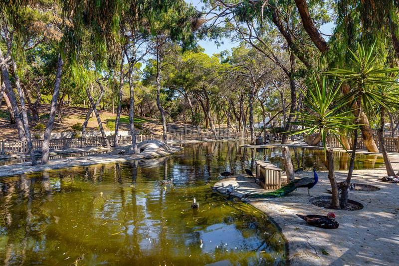 Foto d4d574e7-0481-4fb2-9542-be97c9acb934. Appartement dans Las Viñas Guardamar del Segura