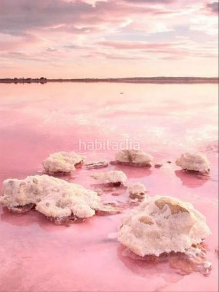 Foto 873f9fe7-04c2-4adf-ae00-7885ca245e94. Apartamento en Punta Prima Torrevieja