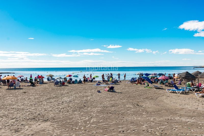 Foto a74eed66-7ddb-431c-95a1-20b12e6b8647. Estudi a Zona los Frutales Torrevieja
