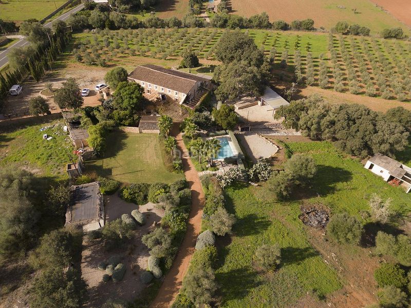 Foto cb1ca6f0-f37f-435e-94d0-f89cdc95ff30. Masia amb calefacció piscina a Sencelles