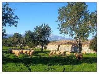 Mas  Lloret de vista alegre. Exclusiva finca con vistas despejadas en son marrón