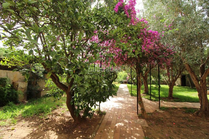 Foto aa1e5840-e28d-40c6-ab77-9e3a3c7ac3ce. Casa amb calefacció aparcament a Son Flor-Son Moix Palma de Mallorca