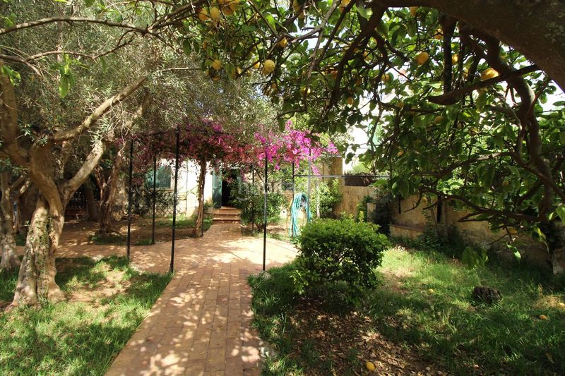 Foto f8c42859-38de-4ba2-82ae-af90243ab985. Casa amb calefacció aparcament a Son Flor-Son Moix Palma de Mallorca