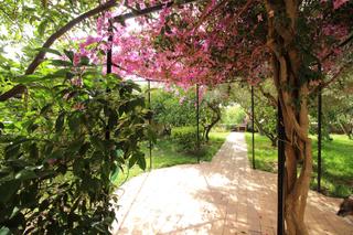 Casa  Carrer de victòria ramis d'ayreflor. Se vende unifimiliar en son moix