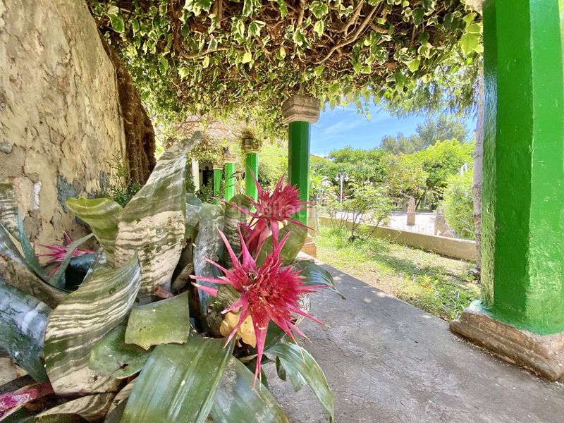 Foto 13af0faa-2b19-4b61-884d-94713705f167. Casa amb piscina a Son Serra-Sa Vileta Palma de Mallorca