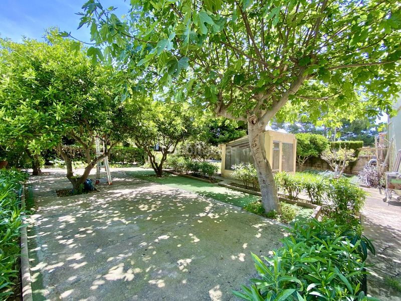 Foto 15b9a6a0-5939-427a-b840-4e5e824c0c5e. Casa amb piscina a Son Serra-Sa Vileta Palma de Mallorca
