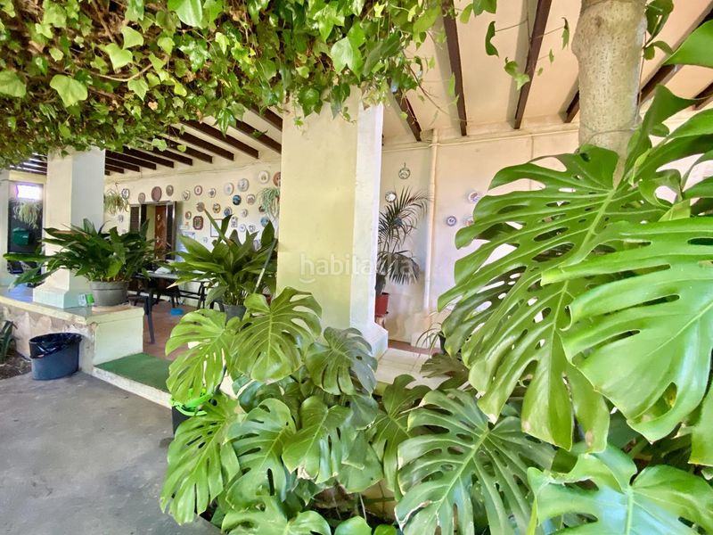 Foto 1d5f9a0e-fd2e-4e5a-8e06-54e8327f01f5. Casa amb piscina a Son Serra-Sa Vileta Palma de Mallorca