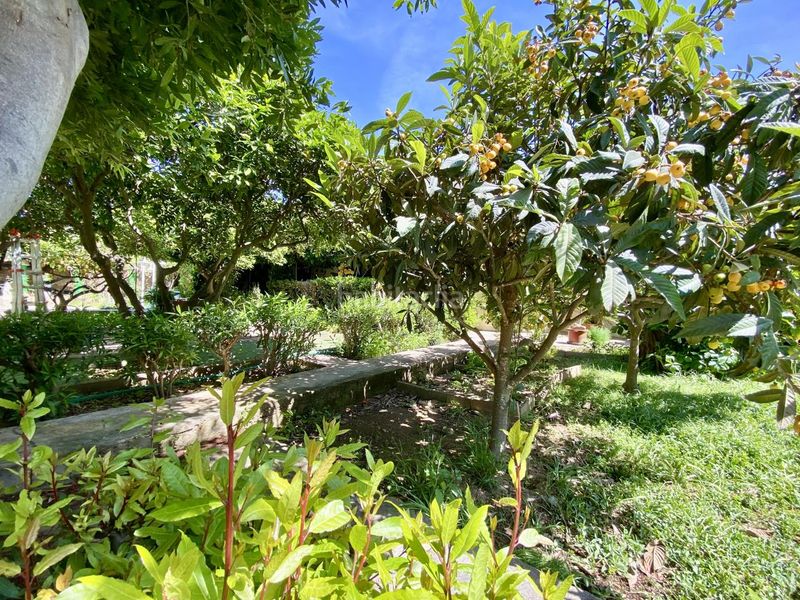 Foto 3dbd8aa9-605e-4730-b07e-2aa016c648e5. Casa amb piscina a Son Serra-Sa Vileta Palma de Mallorca