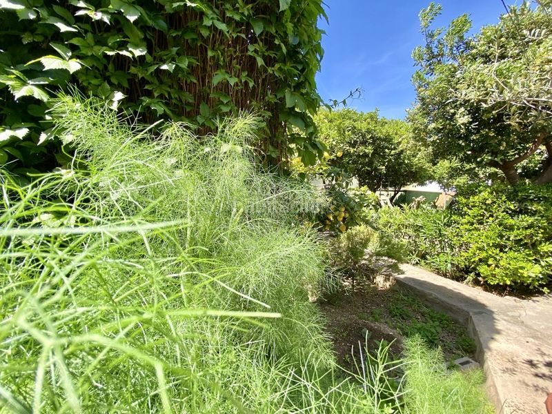 Foto 4bb90aa8-8fc6-4921-9f7d-fafcb2e7e8e7. Casa amb piscina a Son Serra-Sa Vileta Palma de Mallorca