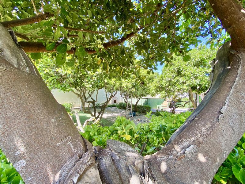 Foto 4d810351-8c58-4f35-8c14-f66f97ac48fa. Casa amb piscina a Son Serra-Sa Vileta Palma de Mallorca