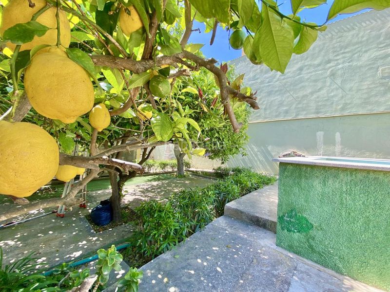 Foto 523beba4-2750-41b6-b02a-ac181f84f5fb. Casa amb piscina a Son Serra-Sa Vileta Palma de Mallorca
