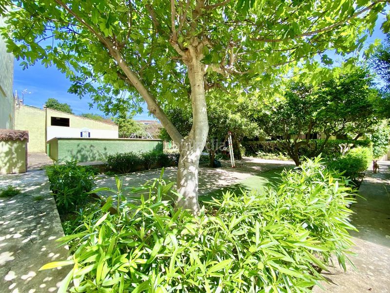 Foto 61241b14-5446-4366-901d-d927e6d0654e. Casa amb piscina a Son Serra-Sa Vileta Palma de Mallorca