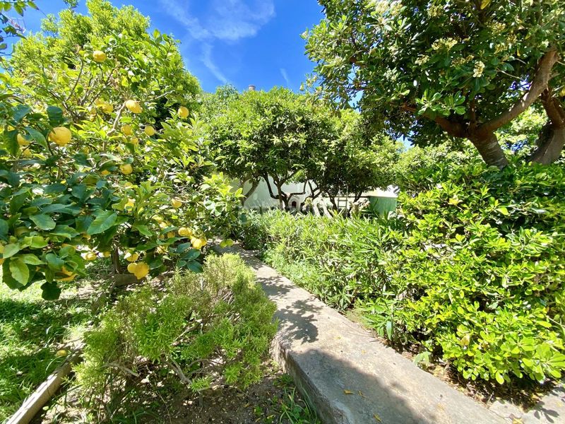 Foto 7e955e17-daca-45a1-8716-bb541d66f88f. Casa amb piscina a Son Serra-Sa Vileta Palma de Mallorca