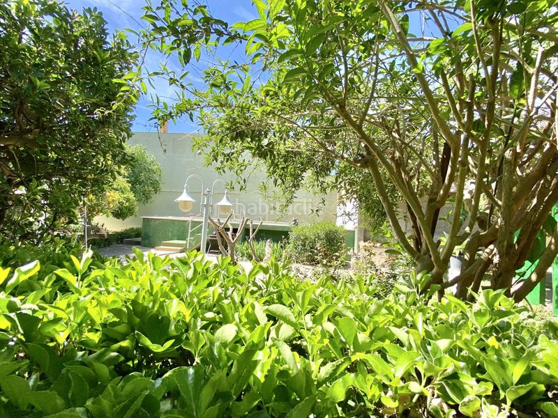 Foto 96ddf298-e2fe-4885-a428-8cdd35b17567. Casa amb piscina a Son Serra-Sa Vileta Palma de Mallorca