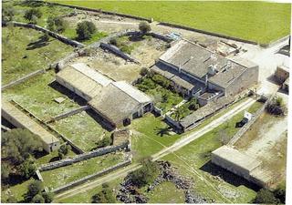 Bauernhof  De sineu. Finca rústica  son marròn