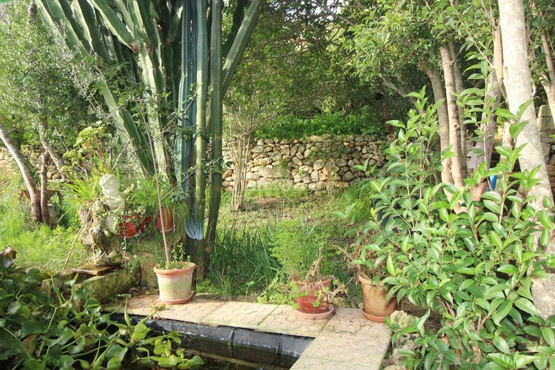 Foto 7ae05ea5-4710-4ff5-b384-0fbd7602f72b. Casa a Muro