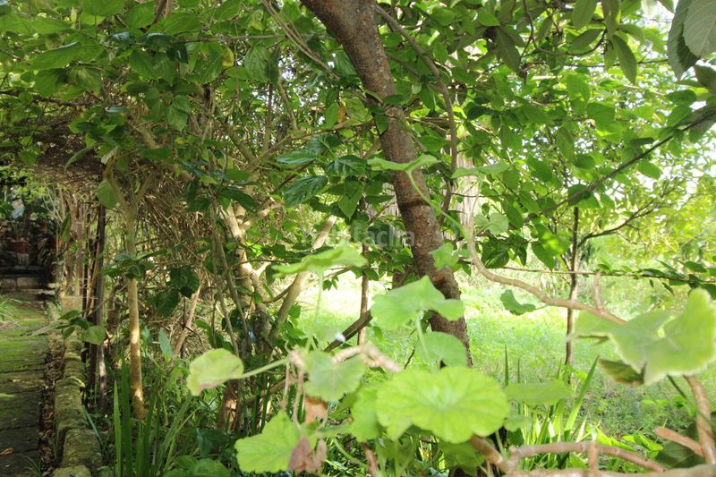 Foto f9271b31-5bd2-49b8-8736-32fa01350ade. Casa a Muro