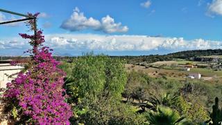 Casa  Carrer sant joan. Tu rincón en el paraíso te espera con licencia vacacional