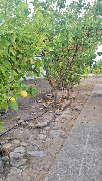 Foto 897edc37-e037-4c91-9e92-2a835e327af0. Casa con parcheggio in Son Serra de Marina Santa Margalida