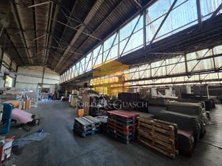 Fabrikhalle in Calle estape 6