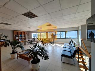 Fabrikhalle in Plaça Molí dels Frares E 6