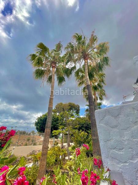Foto 65cc3887-41bd-4d43-a6f4-4942953bbbce. Estudio en San Eugenio Alto Adeje