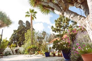 Masia a Arona Pueblo. Casa tradicional canaria en venta