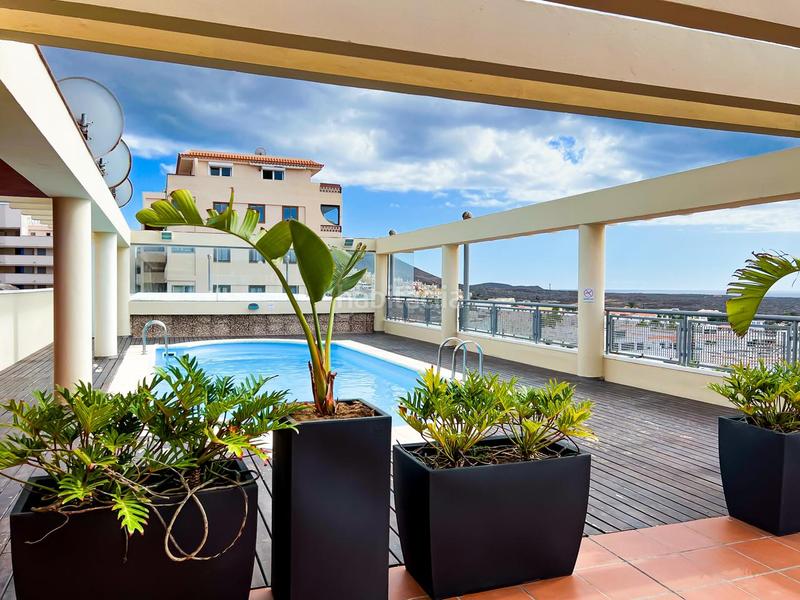 Foto 31317a98-3f2e-4b11-a12a-4dd584d2a09a. Appartamento con piscina in Palm - Mar Arona