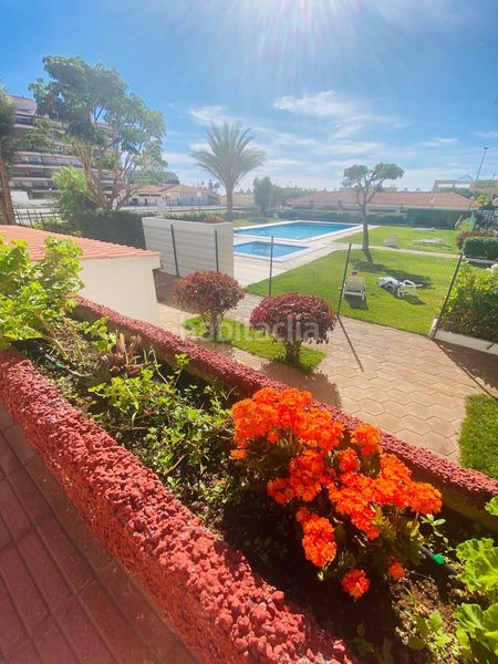 Foto acd79355-65ce-401f-9c1b-71105681d83d. Apartament amb piscina a Los Cristianos Arona