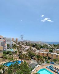 Studio à Playa de las Américas. Luminoso estudio en el corazón de las américas