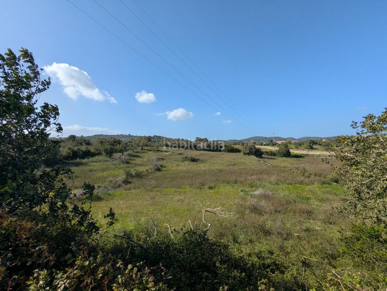 Foto 2b559d35-1949-43c8-b547-a983c465dc95. Finca rústica a Zona d´Interior Son Servera