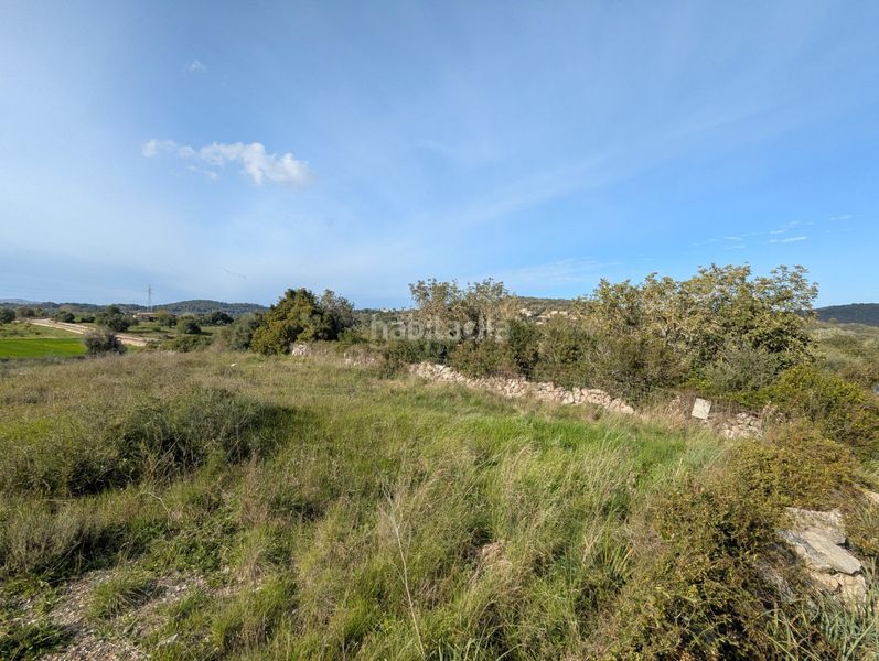 Foto 383efc84-744d-41d0-9e8b-0cfc29fb674e. Finca rústica a Zona d´Interior Son Servera