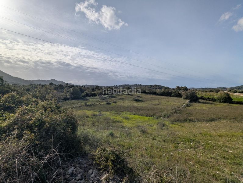 Foto 4252a5e8-8bb9-4f32-b9fd-b791def53f5f. Finca rústica a Zona d´Interior Son Servera