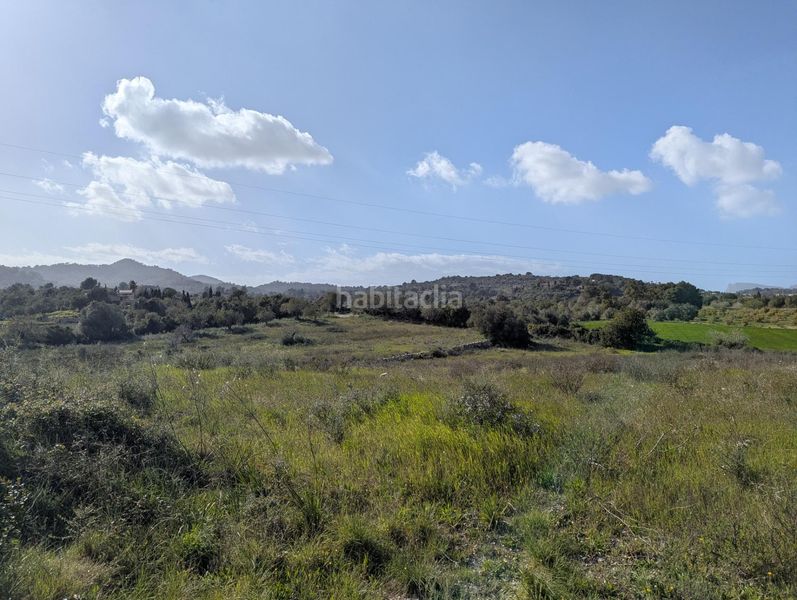 Foto 48833a18-8df7-46e0-8b89-5fa40e17c7e6. Finca rústica a Zona d´Interior Son Servera