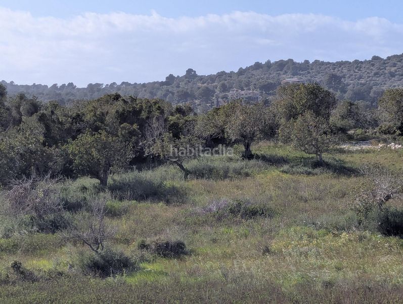 Foto 68fd6f2b-498d-442e-a68a-4e1e4b028af9. Finca rústica a Zona d´Interior Son Servera