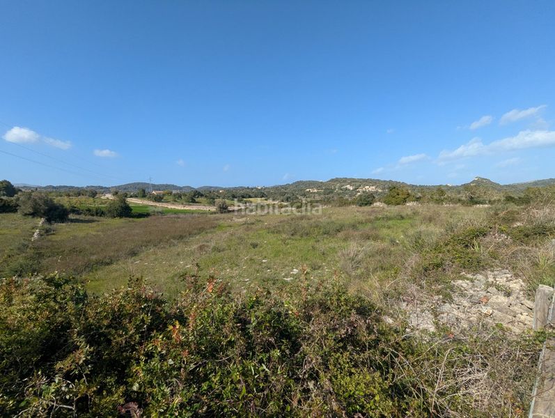 Foto 73604c00-9229-4bf4-bfbc-bfc6928dabc9. Finca rústica a Zona d´Interior Son Servera