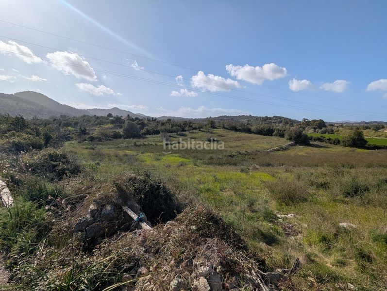 Foto 9730455f-04f7-4611-b6eb-faa00d56e19a. Finca rústica a Zona d´Interior Son Servera