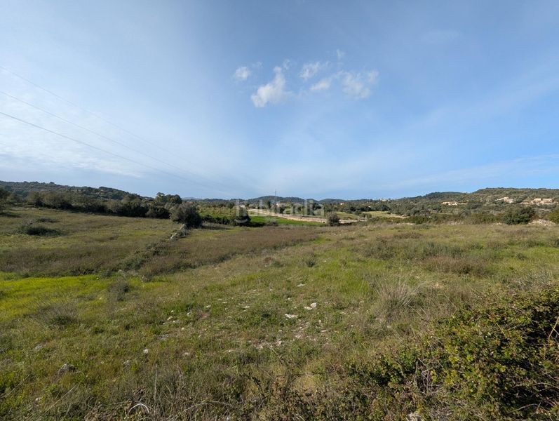 Foto a5911596-5dd5-426b-9f53-70f6d92c88ac. Finca rústica a Zona d´Interior Son Servera