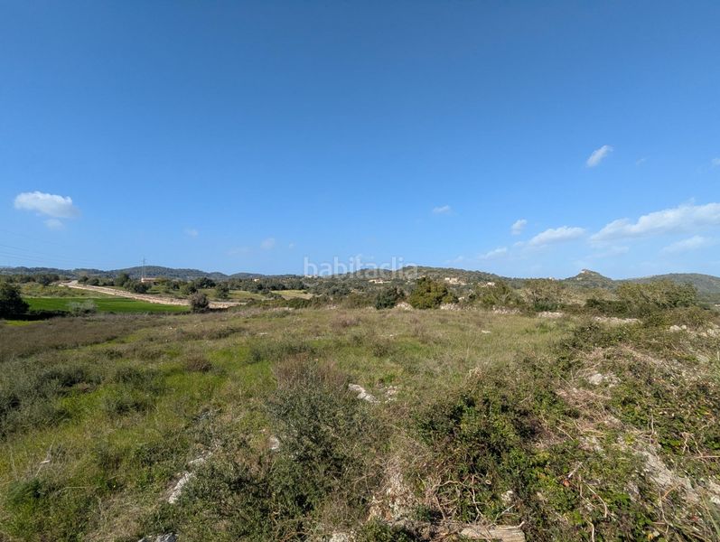 Foto baec28c8-9239-42b1-a29c-a1825f166c48. Finca rústica a Zona d´Interior Son Servera