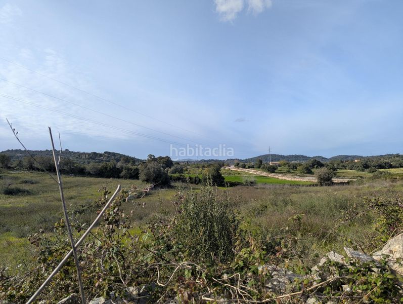 Foto d189224f-cdee-4dce-890b-a831a3eccbc2. Finca rústica a Zona d´Interior Son Servera