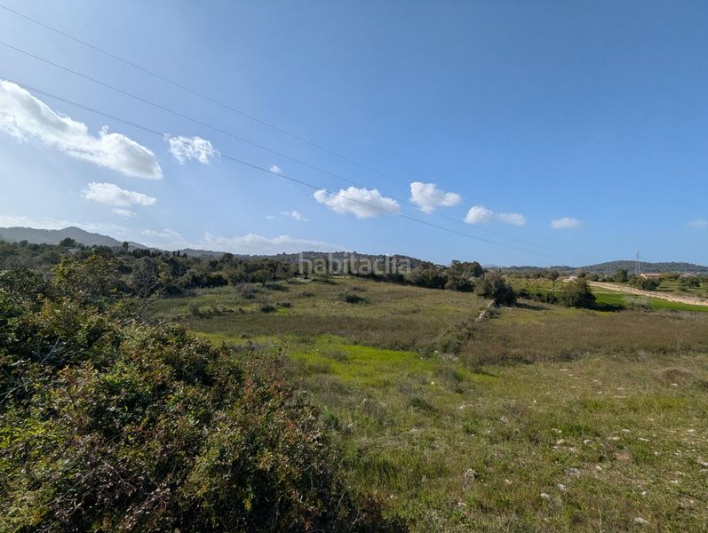 Foto d38e5b63-9ac3-4fc0-8ac2-d7cd9ed2977d. Finca rústica a Zona d´Interior Son Servera