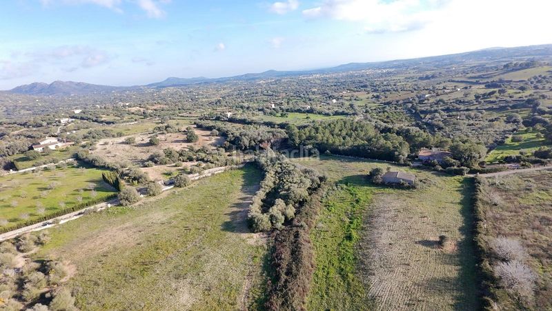 Foto ed745fee-ca67-47ca-a610-c214ff3b5cae. Finca rústica a Manacor centre Manacor