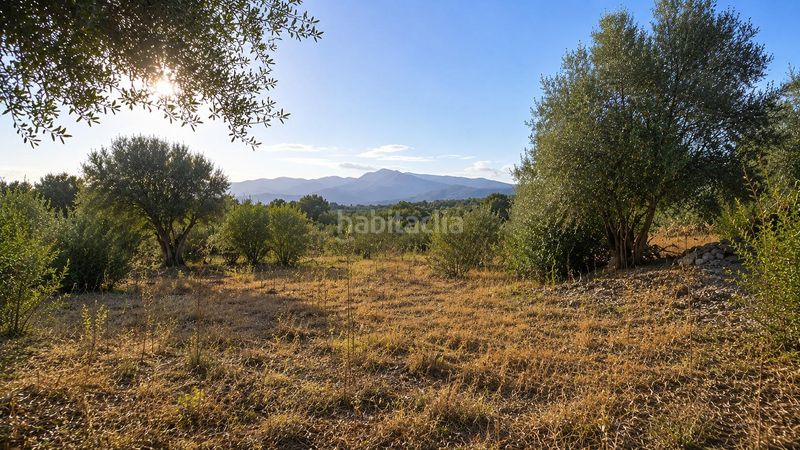 Foto eeb30c95-afd9-4b95-abbb-d48d0a739bfd. Masia amb aparcament a Zona Periurbana Inca