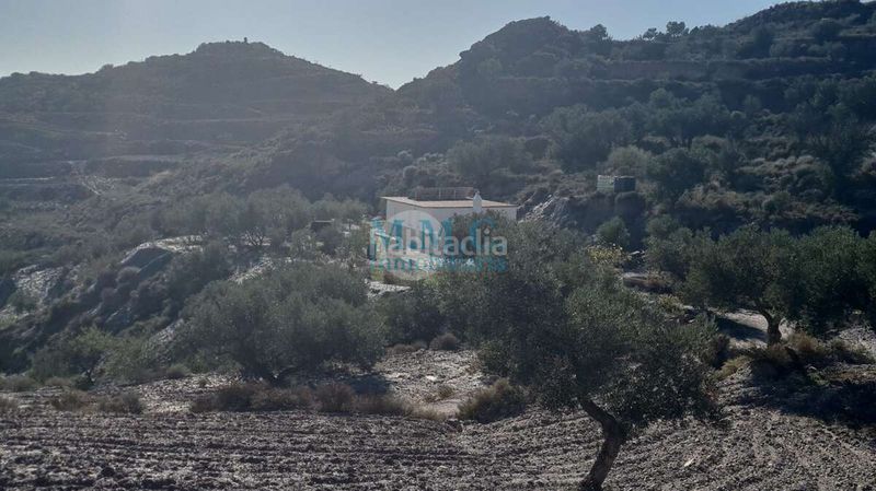 Foto 2cd5a91d-5218-4ba2-82b0-b2e73d6c4345. Finca rústica en Felix